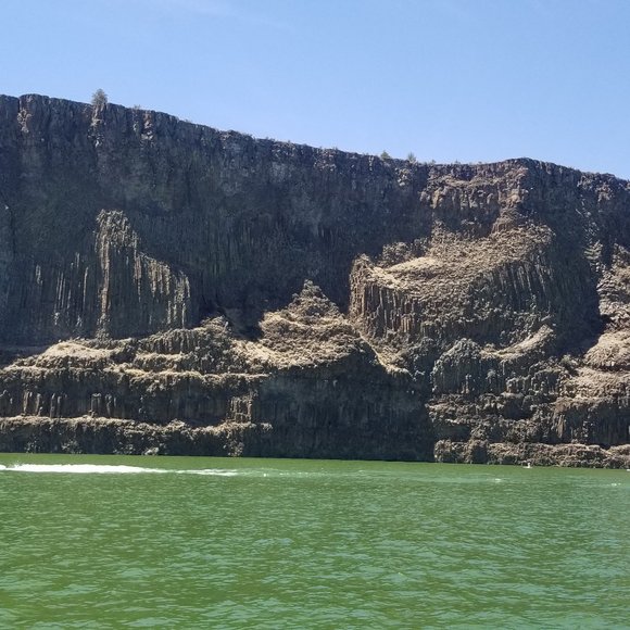 Meet your Posher, Delaney - Picture 4 of 5